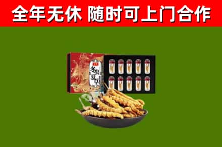伊宁市回收冬虫夏草价格